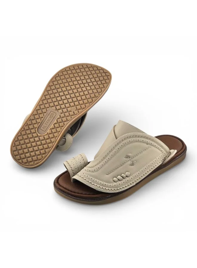 الفانوس الفانوس: سيغنتشر رويال